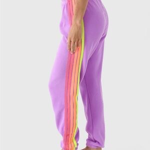 AVIATOR NATION Women's 5 Stripe Sweatpant - Neon Purple/Neon